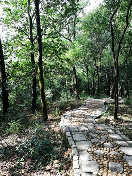 笔架山登山道