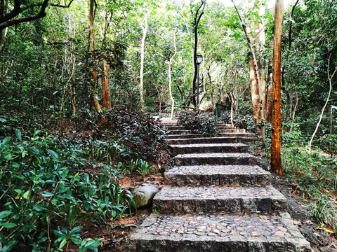 笔架山公园登山小径