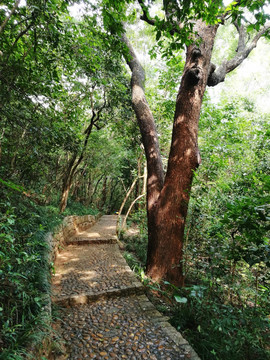 笔架山登山路