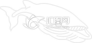 鯨魚(yú)
