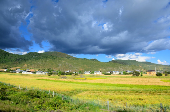 香格里拉伊拉草原