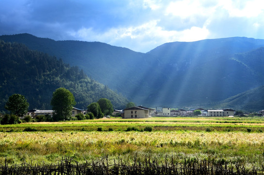 香格里拉纳帕海