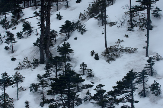 玉龙雪山