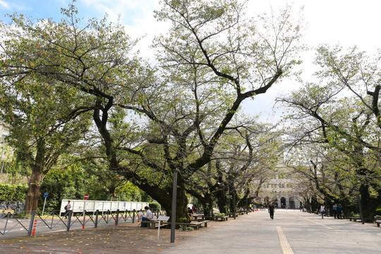 东京工业大学