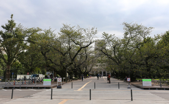 东京工业大学