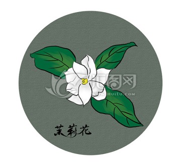 手繪茉莉花