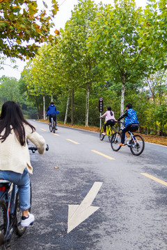 道路 骑自行车