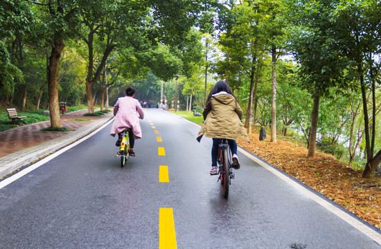 道路 骑自行车