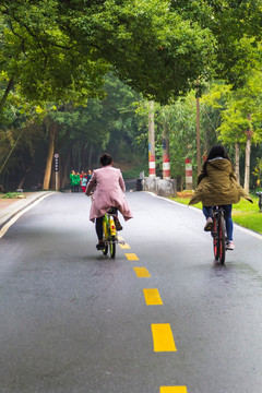 道路 骑自行车