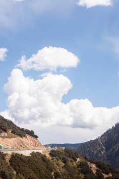 高原秋色 竖片 盘山公路