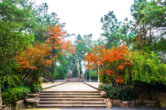 南山风景