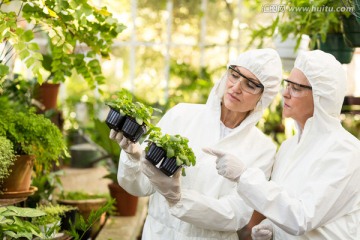 在观察植物的两名生物学家