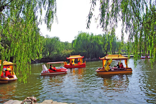 公園游船