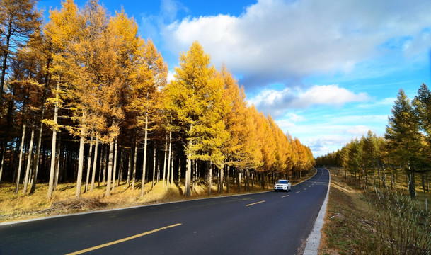 公路秋景