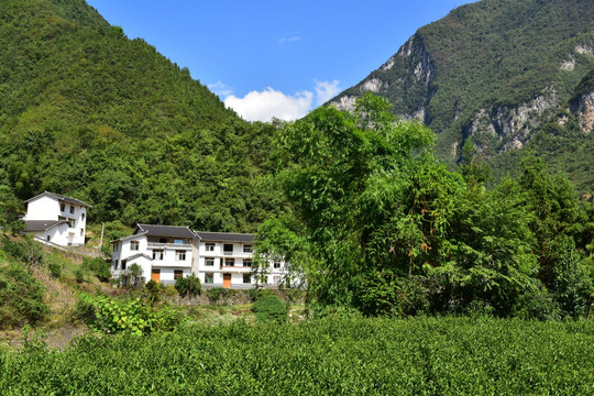 特色民居乡村风景