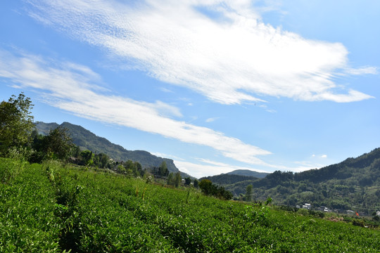 农村田园农家风景