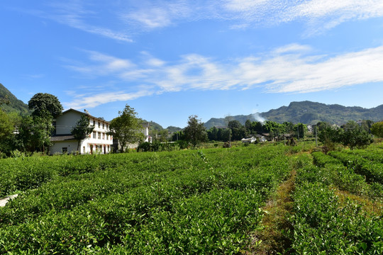 农村田园农家风景