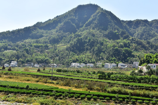 特色民居乡村风景