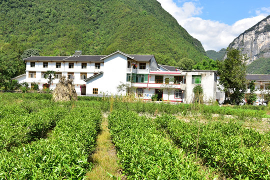 特色民居乡村风景