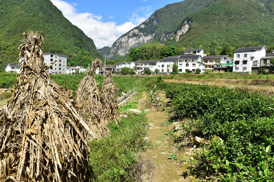 湖北恩施市麂子渡景区田园风光