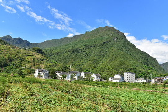 湖北恩施市麂子渡景区田园风光