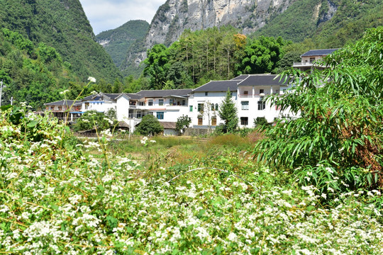 湖北恩施市麂子渡景区田园风光