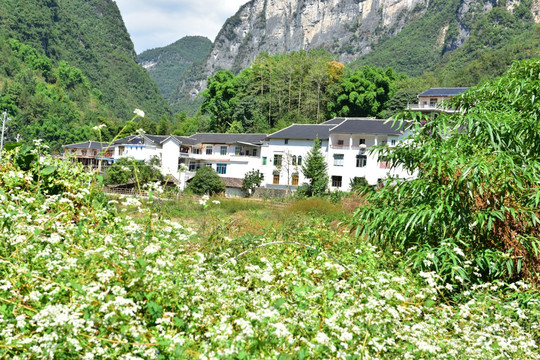 湖北恩施市麂子渡景区田园风光