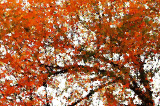 秋叶油画