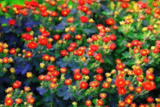 花卉油畫