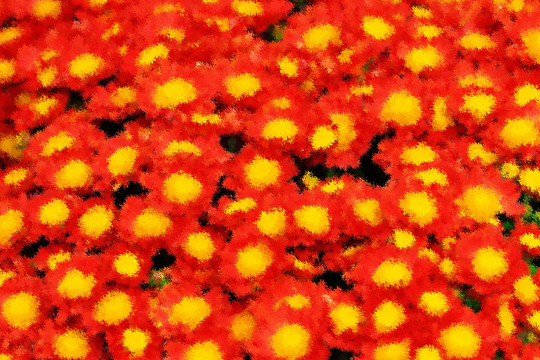 花卉油畫