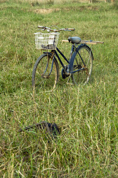 草地自行车