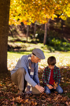 爷爷和孙子在公园里玩秋叶