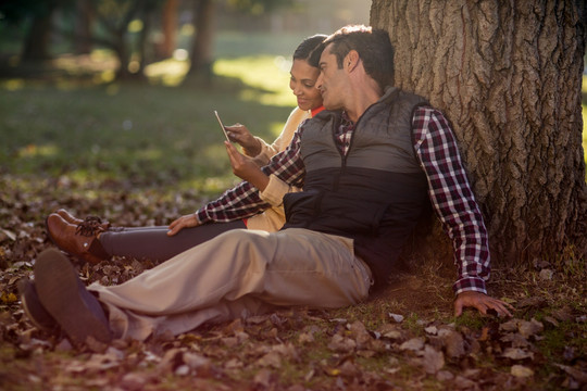 坐在树下用手机的夫妇