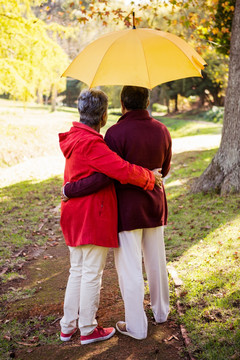 撑着一把伞在公园里的夫妇