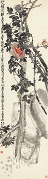 吳昌碩 石榴圖