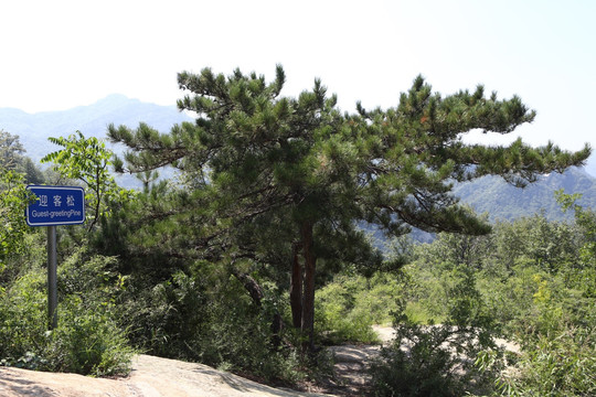 北京大杨山风景区