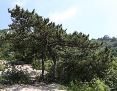 北京大杨山风景区