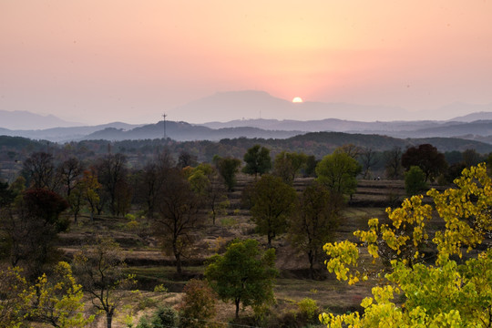 田野夕照