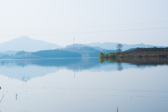 田园田野