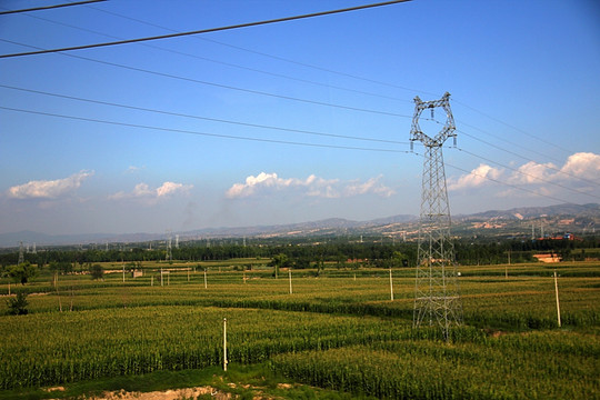 晴朗 黄土高原 麦田