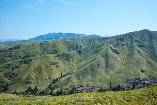 草甸山坡