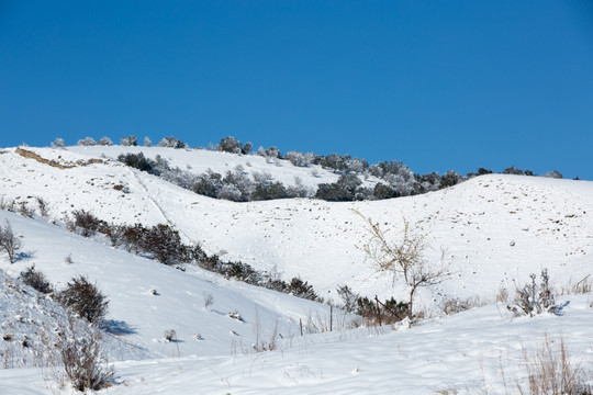 雪山