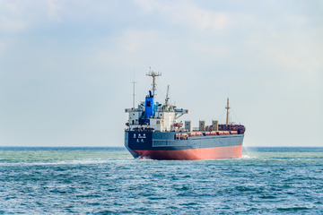 散货船 船舶 运输船 航运业