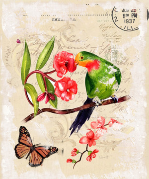 花鳥(niǎo) 懷舊花鳥(niǎo) 蝴蝶 歐美無(wú)框