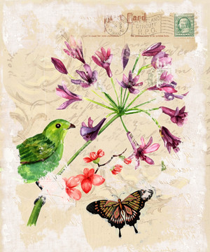 花鳥 懷舊花鳥 蝴蝶 歐美無(wú)框