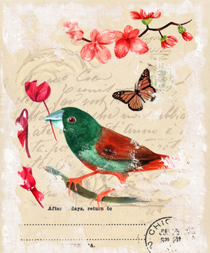 花鳥 懷舊花鳥 蝴蝶 歐美無(wú)框