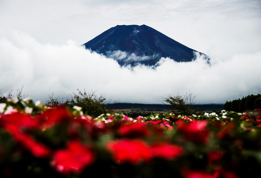 日本富士山