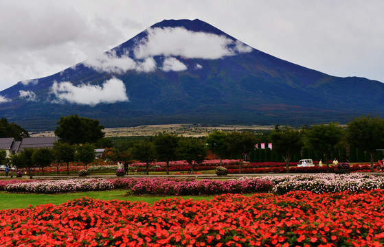 日本富士山