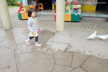 女孩在鸽子广场喂鸽子