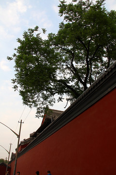北京 雍和宫 古建筑
